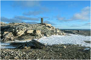 kvitøya svalbard, vitön